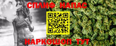 Альфа ПВП Малгобек