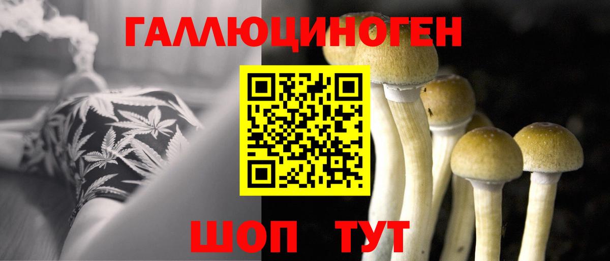 Дмитров  Псилоцибиновые грибы Magic Shrooms  Вход с VPN 
